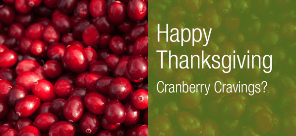 BLOG-Thanksgiving-2018