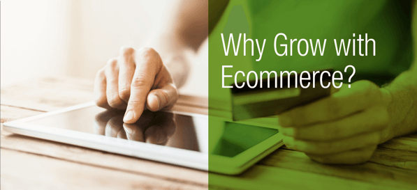 Person Scrolling on Device Learning About What is a eCommerce Website